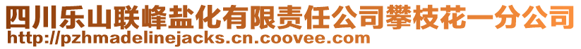 四川樂山聯(lián)峰鹽化有限責任公司攀枝花一分公司