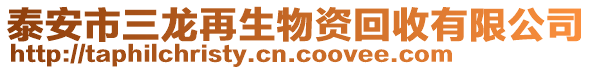 泰安市三龍?jiān)偕镔Y回收有限公司