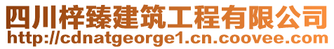 四川梓臻建筑工程有限公司