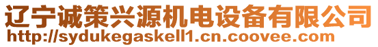 遼寧誠策興源機(jī)電設(shè)備有限公司