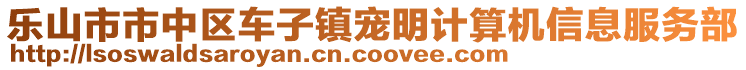 樂(lè)山市市中區(qū)車(chē)子鎮(zhèn)寵明計(jì)算機(jī)信息服務(wù)部