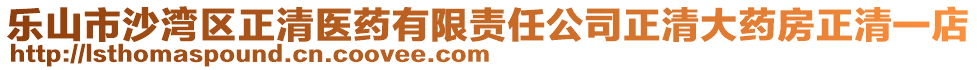 樂山市沙灣區(qū)正清醫(yī)藥有限責(zé)任公司正清大藥房正清一店