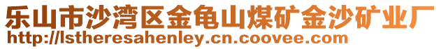 樂山市沙灣區(qū)金龜山煤礦金沙礦業(yè)廠