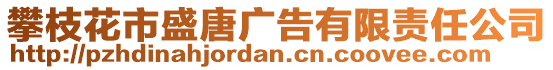 攀枝花市盛唐廣告有限責(zé)任公司