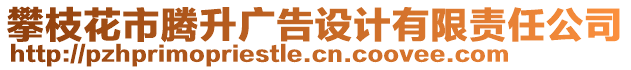 攀枝花市騰升廣告設(shè)計(jì)有限責(zé)任公司