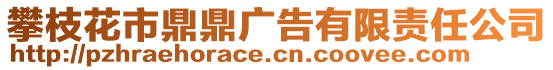 攀枝花市鼎鼎廣告有限責任公司