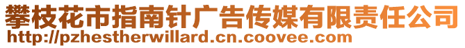 攀枝花市指南針廣告?zhèn)髅接邢挢?zé)任公司