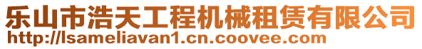 樂山市浩天工程機械租賃有限公司