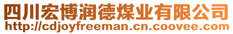 四川宏博潤(rùn)德煤業(yè)有限公司