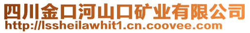 四川金口河山口礦業(yè)有限公司