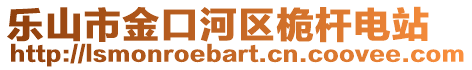 樂山市金口河區(qū)桅桿電站