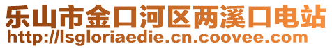 樂山市金口河區(qū)兩溪口電站