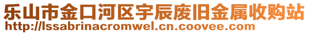 樂山市金口河區(qū)宇辰廢舊金屬收購站