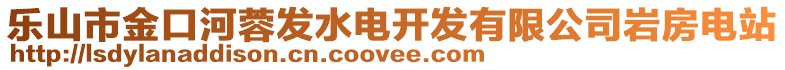 樂山市金口河蓉發(fā)水電開發(fā)有限公司巖房電站