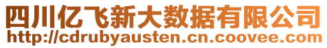 四川億飛新大數(shù)據(jù)有限公司