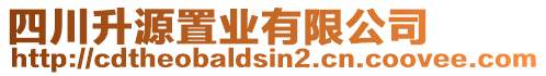 四川升源置業(yè)有限公司