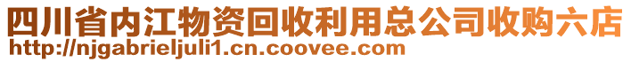 四川省內(nèi)江物資回收利用總公司收購(gòu)六店