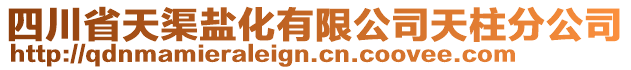 四川省天渠鹽化有限公司天柱分公司