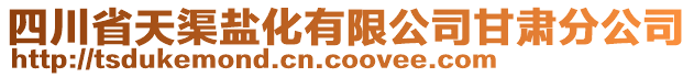 四川省天渠盐化有限公司甘肃分公司