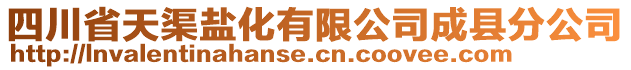 四川省天渠盐化有限公司成县分公司