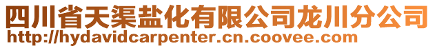 四川省天渠鹽化有限公司龍川分公司