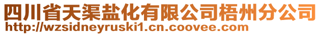 四川省天渠鹽化有限公司梧州分公司