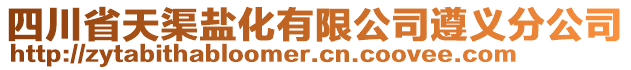 四川省天渠盐化有限公司遵义分公司