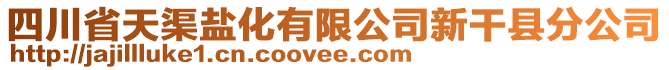 四川省天渠鹽化有限公司新干縣分公司