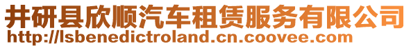 井研縣欣順汽車租賃服務(wù)有限公司