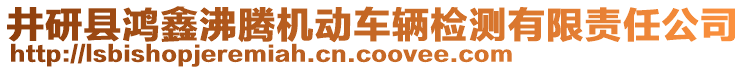 井研縣鴻鑫沸騰機(jī)動(dòng)車輛檢測(cè)有限責(zé)任公司