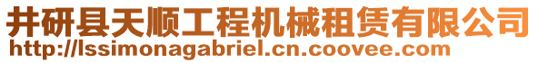 井研縣天順工程機(jī)械租賃有限公司