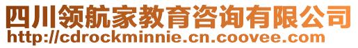 四川領航家教育咨詢有限公司