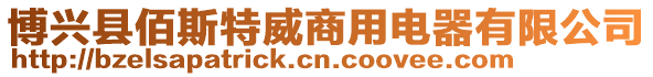 博興縣佰斯特威商用電器有限公司