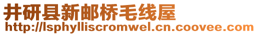 井研縣新郵橋毛線屋