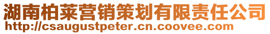 湖南柏萊營(yíng)銷策劃有限責(zé)任公司