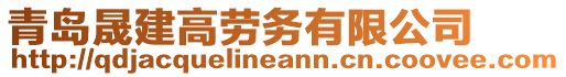 青島晟建高勞務(wù)有限公司