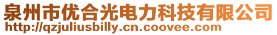 泉州市優(yōu)合光電力科技有限公司