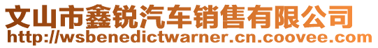 文山市鑫銳汽車銷售有限公司