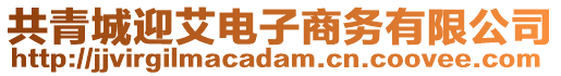 共青城迎艾電子商務有限公司