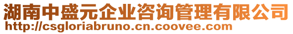 湖南中盛元企業(yè)咨詢管理有限公司