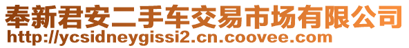 奉新君安二手車交易市場(chǎng)有限公司