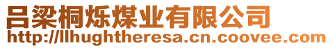 吕梁桐烁煤业有限公司