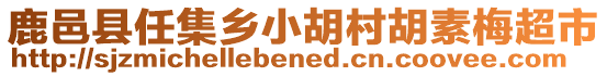 鹿邑縣任集鄉(xiāng)小胡村胡素梅超市