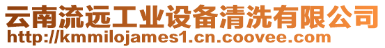 云南流遠(yuǎn)工業(yè)設(shè)備清洗有限公司