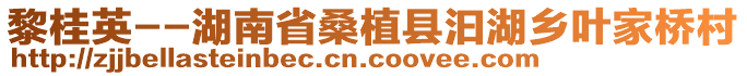 黎桂英--湖南省桑植县汩湖乡叶家桥村