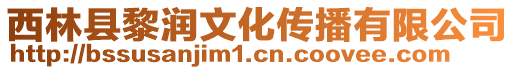 西林縣黎潤文化傳播有限公司