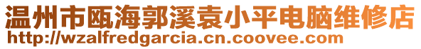 溫州市甌海郭溪袁小平電腦維修店