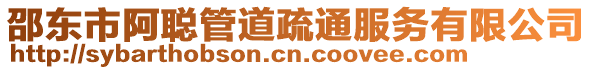 邵東市阿聰管道疏通服務(wù)有限公司