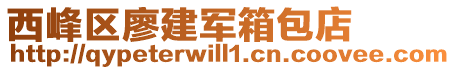 西峰區(qū)廖建軍箱包店