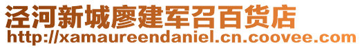 泾河新城廖建军召百货店